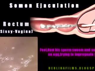 쉬 메일 aanatomy(some 종류 의 sissy-trainer)