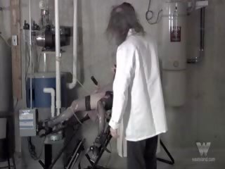 Petisismo tatluhan at pakikipagtalik machines