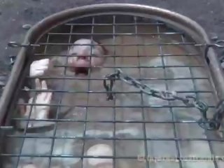 Chained cutie needs inviting torture