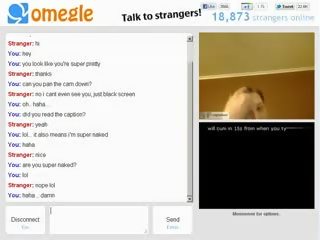 Fabulous married chick plays with tits on omegle