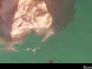 Amatir cantik young female in swim suit fucked underwater