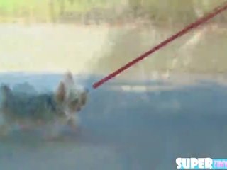 Tiny and curly hair Rebel gets fucked