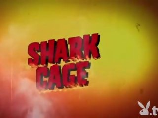 Badass holky swam s shark v the klec