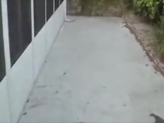Blondýnka blondýnka concupiscent roztleskávačka pohlaví video páska anální anální