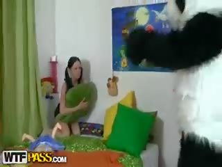 First-rate 브루 넷의 사람 도착 에이 고양이 질내 사정