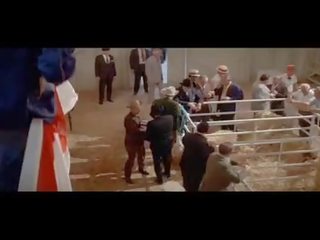 292 emjekli spacek & janit baldwin - middle-aged cut slav