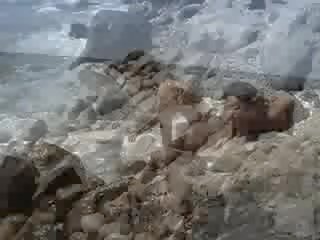 Busty brunette posing naked on a beach