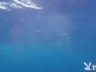 Enticing nxehtë babes duke notuar me the shark