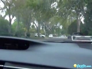 Ryšavý emo auto driving sexually aroused