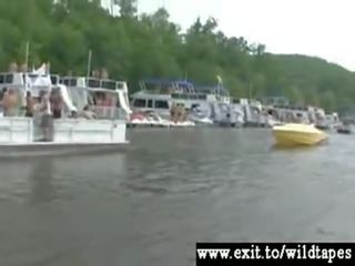 Jíst kočička na a veřejné loď strana