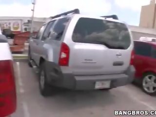 Bangbus birleşmek