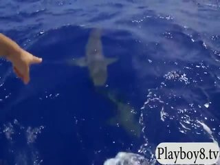 Lákavý hotties swam s shark v the klec a snowboarding