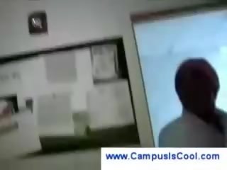 Zkurvenej vysoká škola kočička