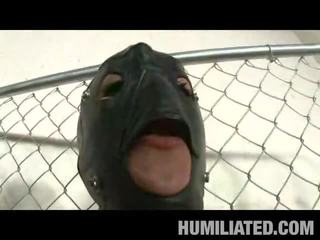 Kaylani breeze receives humiliated