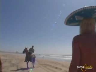 Erootiline puuma kaalikas sisse mexico edasi a hobune