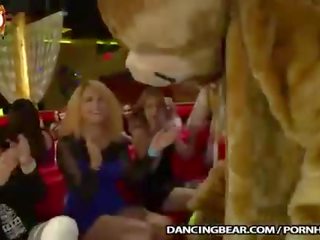 Kar i uritur festë amatorë duke shkuar e çmendur për kokosh!