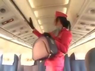 Provocative stewardess sucking shaft before cunnilingus