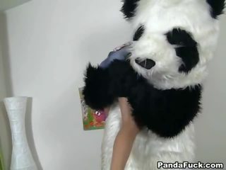 Nedolžen nimfa igrače a neplačanih darky meso stick igrače panda
