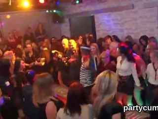 I censoruar - unusual kittens shkoj tërësisht foolish dhe lakuriq në e pacensuruar festë