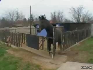 Angie zoňtar qualified to handle ferma lad