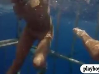 Okouzlující babes swam v shark klec a snowboarding polonahá