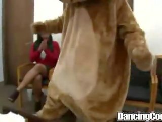 Dancingcock grupė velenas suking