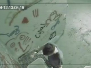 멕시코 양진이 풋내기 아기 빨기 에이 큰 putz 에 화장실