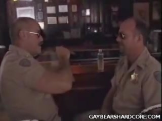 Homo medved cops hit to off