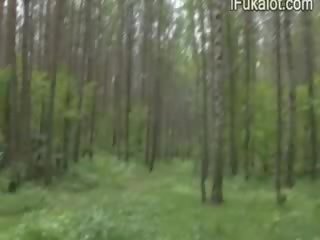 Zunaj potrebno putz v na gozd