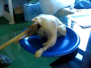 德语 小鸡 肛交 渗透 rectumfuck