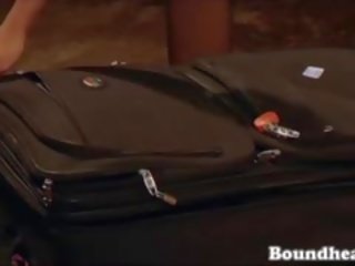 매력적인 luggage 놀람