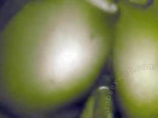 Amaterke egipčanke sonia-asw089