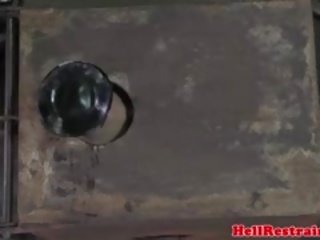Hog i lidhur e nënshtruar caned nga e zezë dom