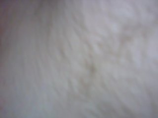 Allein zuhause 2