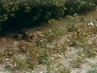Les apres-midi de pamela mann 1974, mugt kirli movie ae
