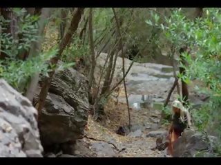 Emma goes çuň in the woods, mugt bare maidens hd xxx video 21