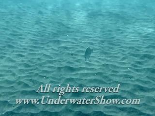 Swimming Gracefully Naked Underwater, HD dirty video 22