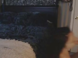 Lascivious jovem mulher obter cona lambida e engolida ejaculações: grátis adulto filme cb