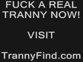 E pisët në kërkim të trans jerks larg