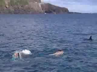 Xxx 视频 下 水 夹