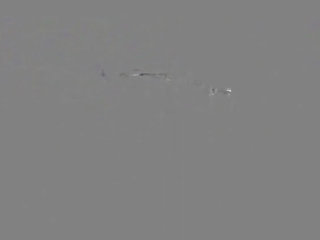 Screaming White Milf Cant Get Enough And Cums Hard