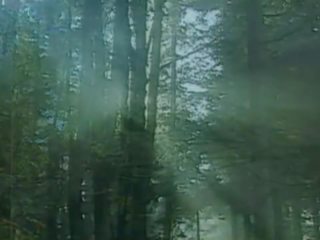 Pornogrusse aus der lederhose, mugt zartyldap maýyrmak hd ulylar uçin movie de