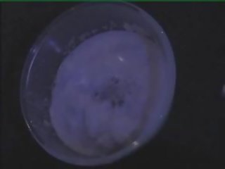 怪异 英国的 物神 视频 第二 部分