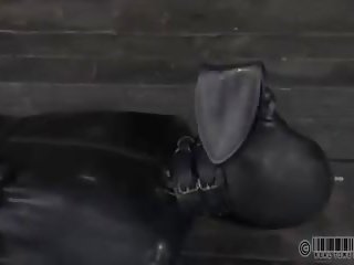 Bag nahoru katharine třtina