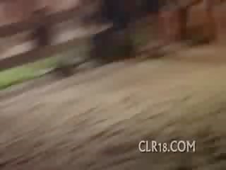 Guy gets his dick sucked