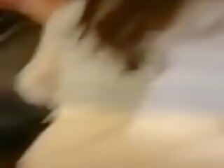 Fuck with Mini Vibrator Inside Pussy, adult film c1