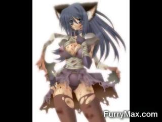 Karakter cat babes!