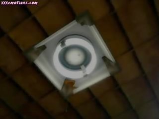 Wild Animated Chick Getting A Toy