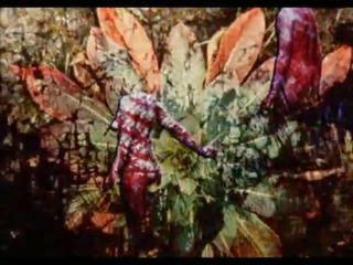 Adam & eve 1969: brezplačno adam eve seks mov mov fd