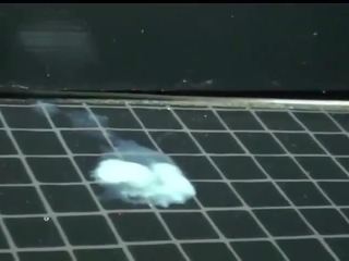 Courtliness 孔: 免費 體內射精 x 額定 電影 mov 2a